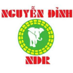 Nguuyễn Đỉnh